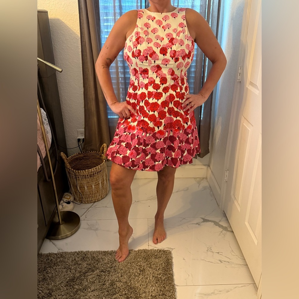 Maggy London Vibrant Red and Pink Mini Dress